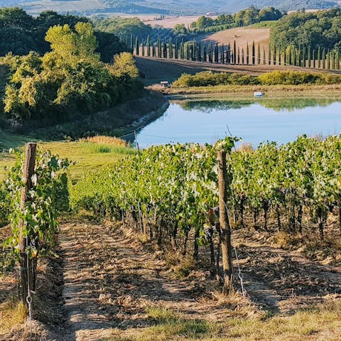 Savour  the delicious Brunello wine from the nearby Montalcino vineyards