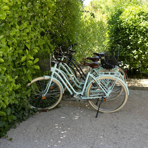 Go on a bike ride to some local vineyards