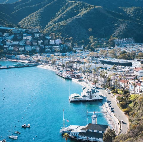 Catch the ferry and be on Santa Catalina Island in an hour