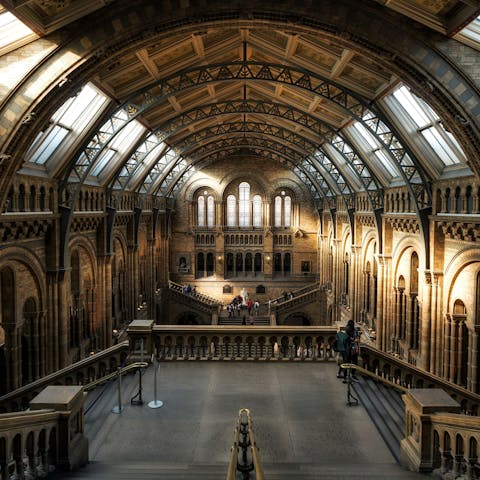 Spend an afternoon exploring the Natural History Museum