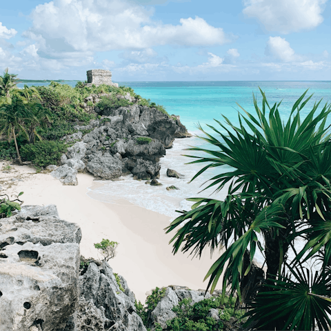 Stay in the heart of Tulum's Aldea Zama