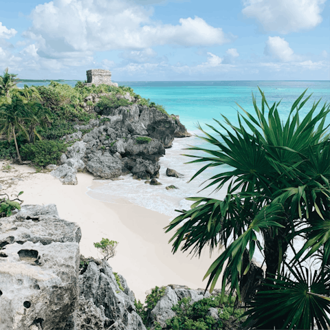 Stay in the heart of Tulum's Aldea Zama