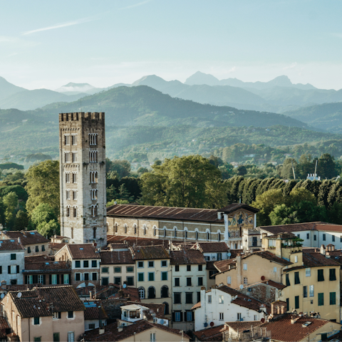 Take a drive to the historic town of Lucca