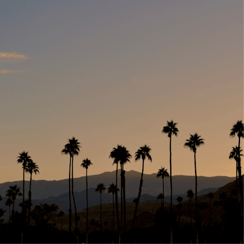 Stay a short drive from downtown Palm Springs