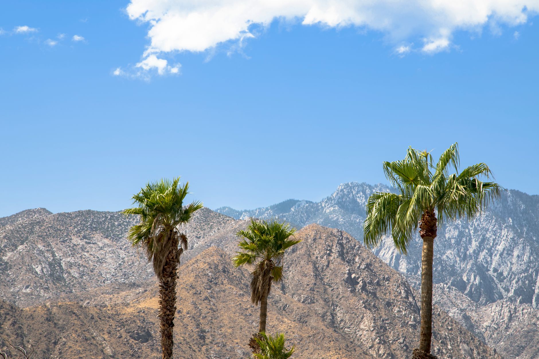 San Jacinto Splash