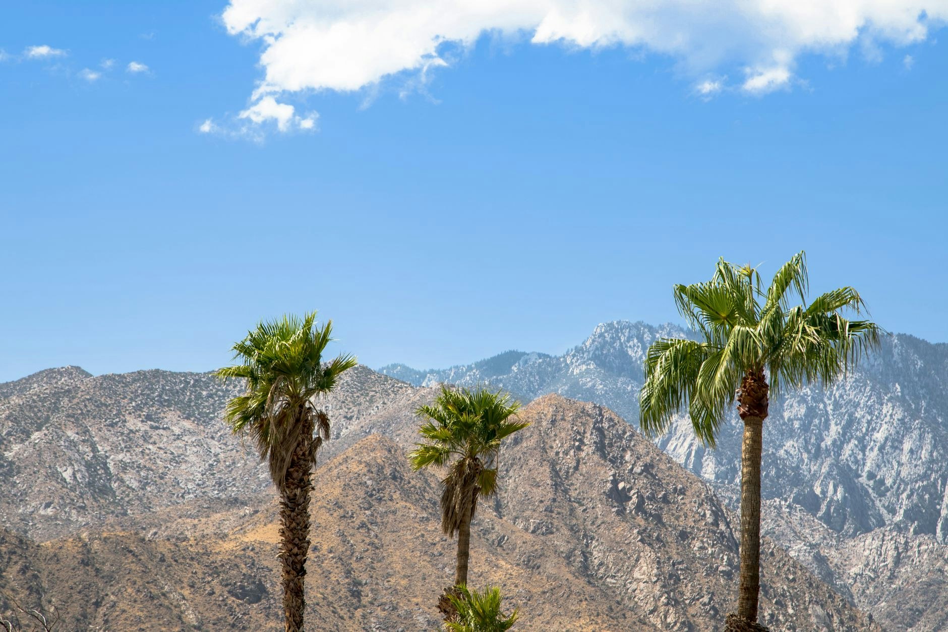 San Jacinto Splash