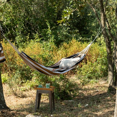 Unwind in the hammock under the olive trees