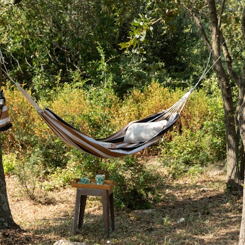 Unwind in the hammock under the olive trees
