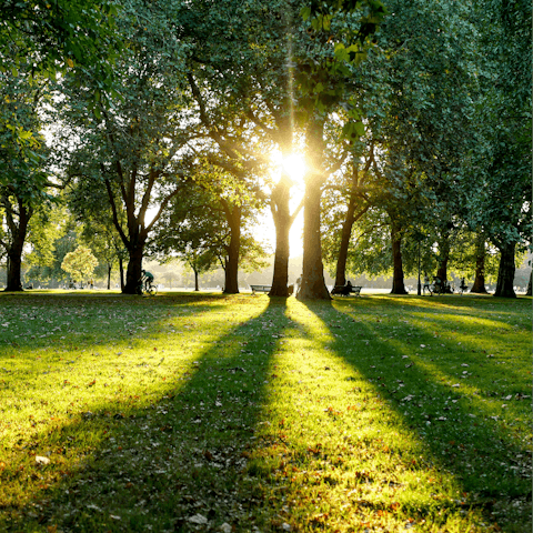 Spend the afternoon in Hyde Park, twenty minutes away