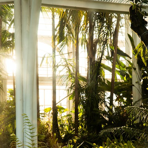 Spend the day in the Botanical Garden of Lisbon, reachable on foot within fifteen minutes