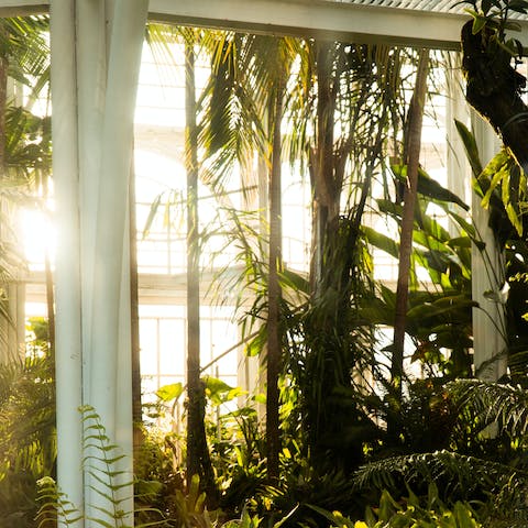 Spend the day in the Botanical Garden of Lisbon, reachable on foot within fifteen minutes