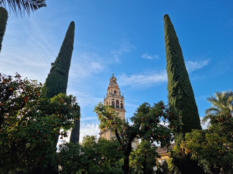 Roam Córdoba's palatial Alcázar grounds, blending royal history with lush ornamental gardens