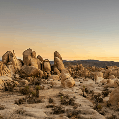 Discover the natural beauty of Joshua Tree - the entrance to the park is five minutes away