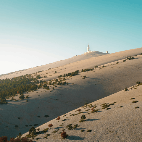 Visit Mont Ventoux – visible from the villa and accessible by car in spring and summer