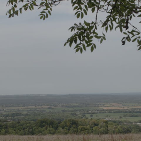 Explore the Dorset Area of Outstanding Natural Beauty that surrounds this address