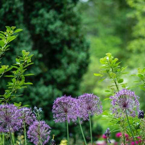 Relax and unwind in the private garden