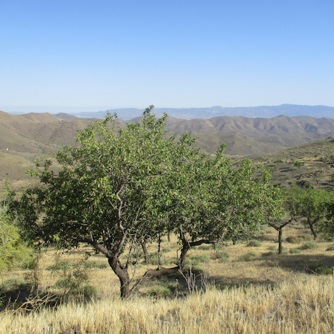 Hike the local mountain trails and admire the olive groves