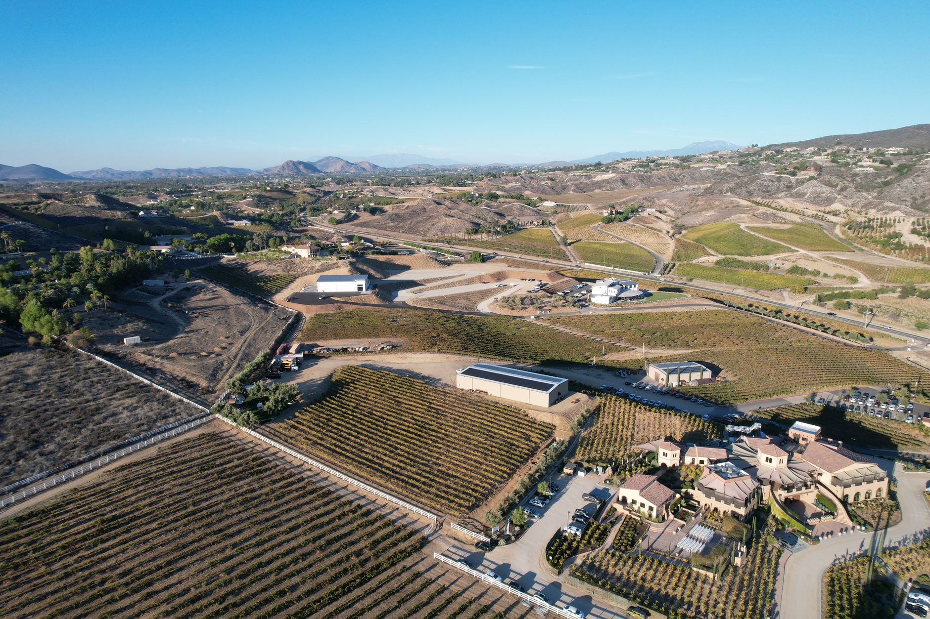 Vineyard Infinity