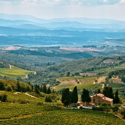 Walk to the historical centre of Gaiole in Chianti in under ten minutes