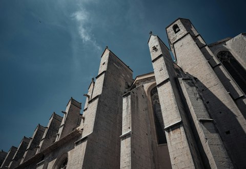 Explore the historic centre of Saint-Rémy-de-Provence, with Collegiale Saint-Martin just moments away