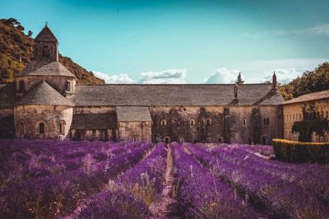 Discover the scenery that inspired some of Vincent van Gogh's best-known works