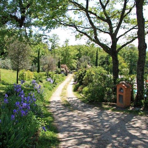 Take a stroll down the pretty country lanes