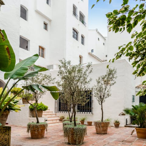 Enter through a quiet courtyard dressed in greenery