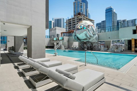 Cool off in the shared pool beneath the downtown Miami skyline
