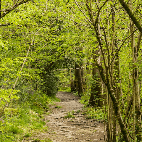 Follow in the footsteps of Robin Hood through the Nottinghamshire countryside – an eighteen–minute drive away