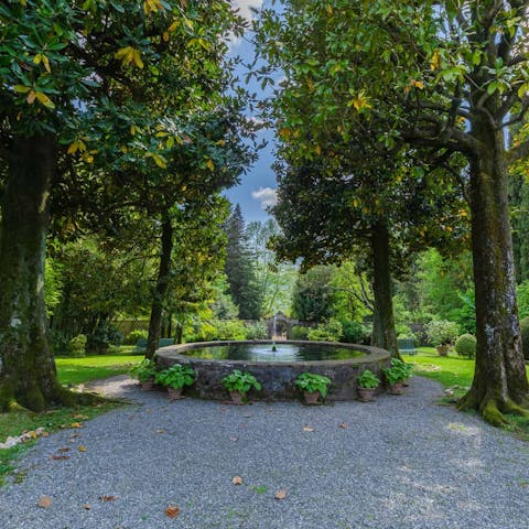 Enjoy walks through the estate's centuries-old woodlands