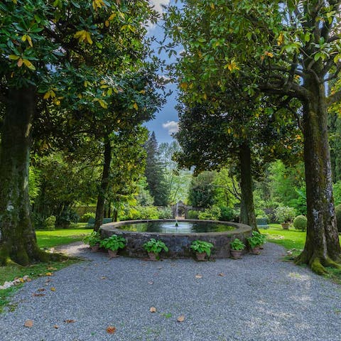 Enjoy walks through the estate's centuries-old woodlands