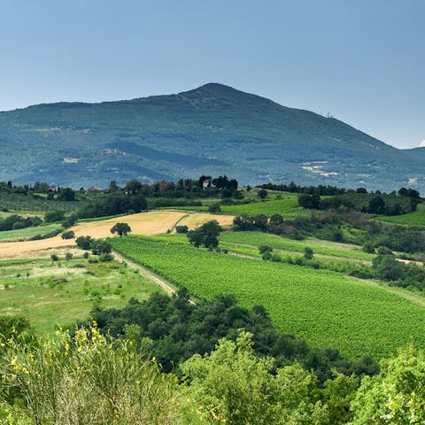 Wander around the vast, green grounds