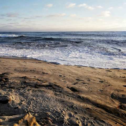 Soak up the sunshine on South Mission Beach, a short walk away