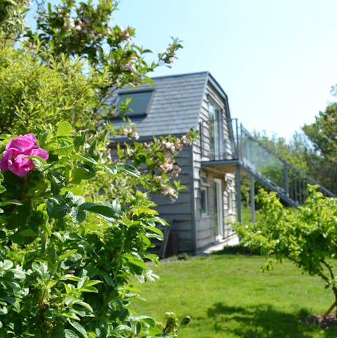 Stay on a countryside small-holding