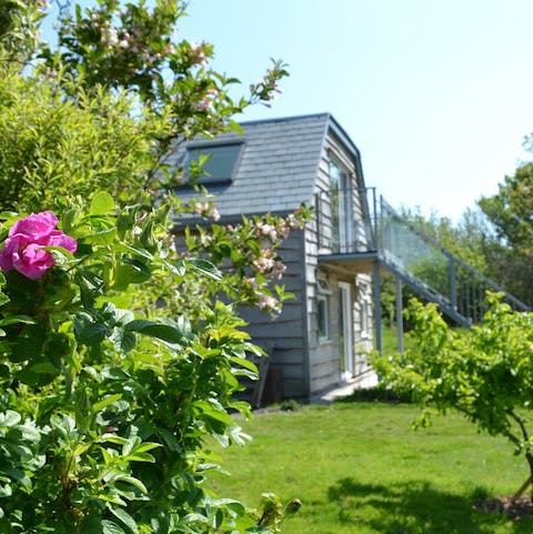 Stay on a countryside small-holding