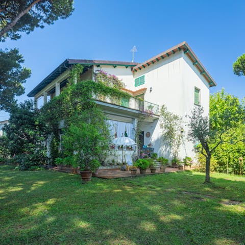 The garden is a lovely place to relax and enjoy the outdoors.