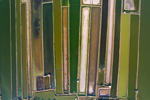 Marvel at Comporta's iconic emerald rice paddies stretching to the horizon