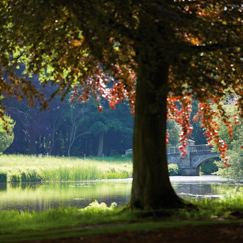 Discover the Shrophire countryside from the village of Weston-under-Lizard