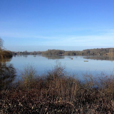 Go for a wild swim in nearby Bough Beech Reservoir