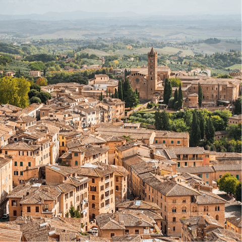 Explore the medieval town of Peccioli, a short drive away