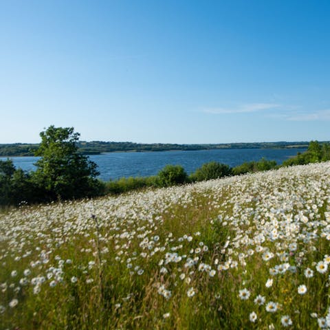 Drink up the natural beauty of the surrounding grounds