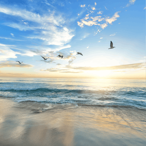 Take a day trip to the beautiful beaches