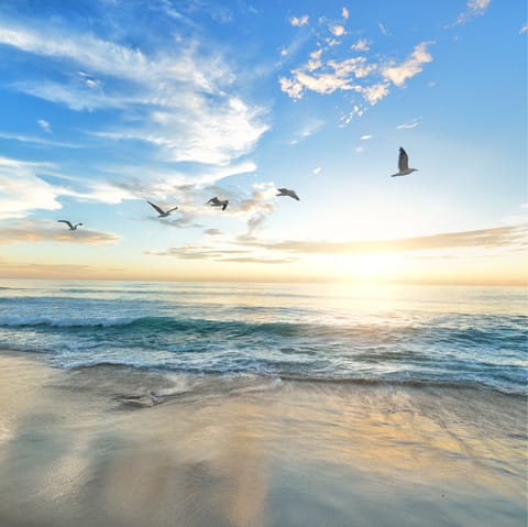 Take a day trip to the beautiful beaches
