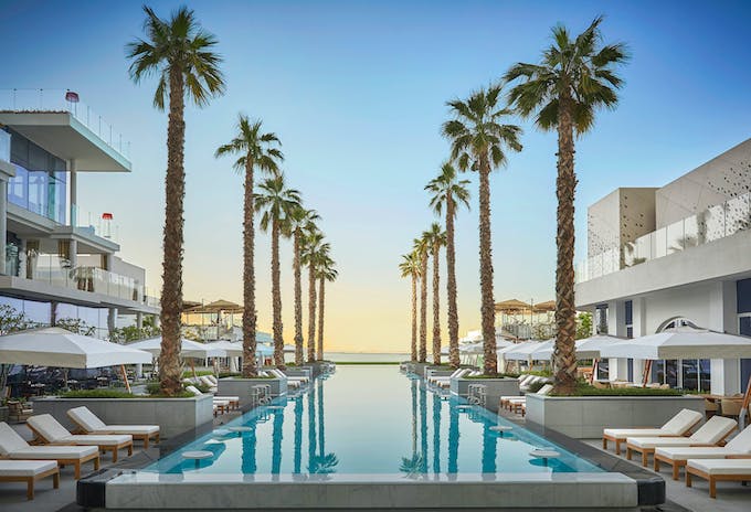Palm Trees & Day Dreams