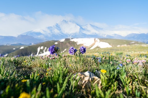 Put on your hiking boots and explore Vail's mountain landscape