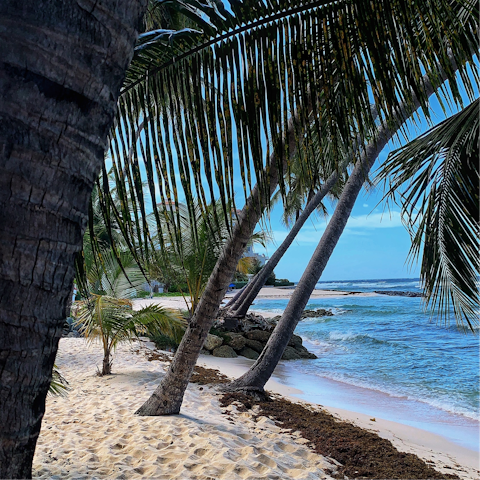 Unwind on the pristine sands of Paynes Bay Beach, just steps away