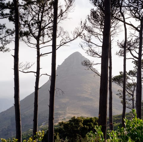 Stretch your legs at Signal Hill – the nearest entrance is just a short drive from home
