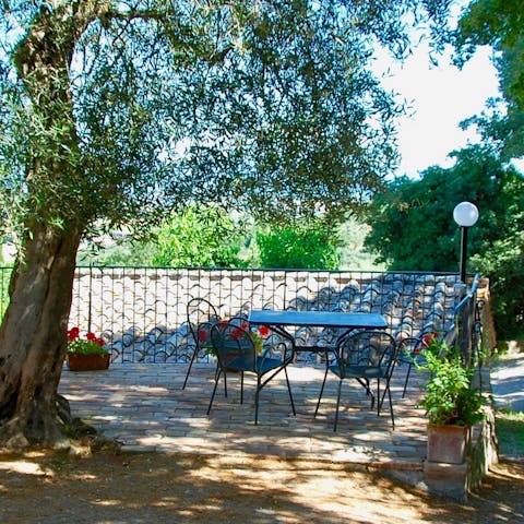 Dine beneath an ancient olive tree on the private terrace