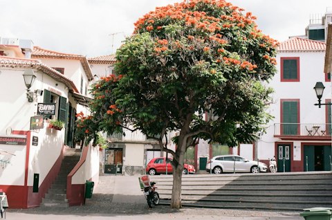 Discover Funchal's historic Zona Velha – walkable in just over thirty minutes