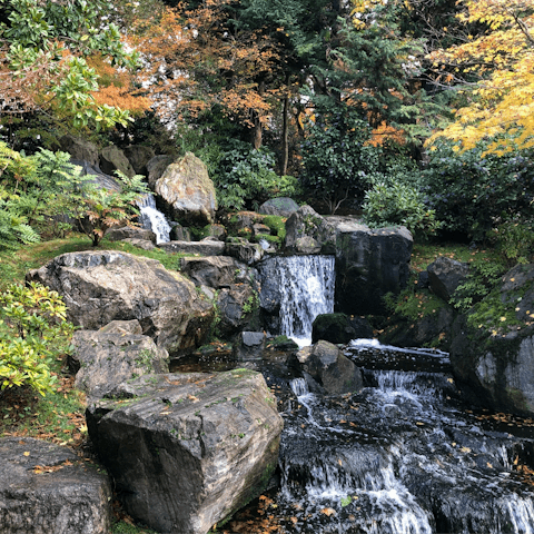 Visit the tranquil Japanese Gardens of Holland Park, just three minutes from home